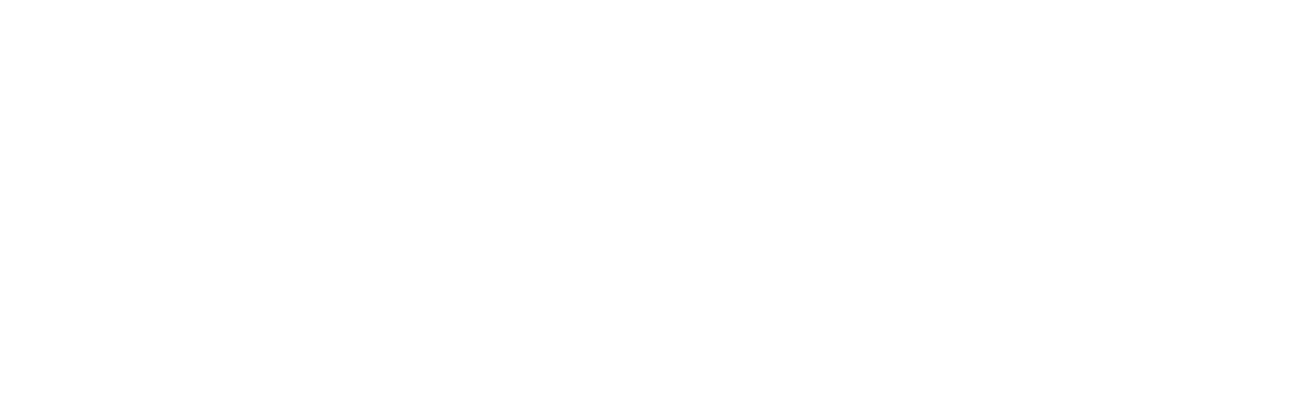 SEISHIN⁺